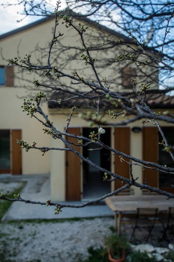 Agriturismo Conero أنكونا المظهر الخارجي الصورة