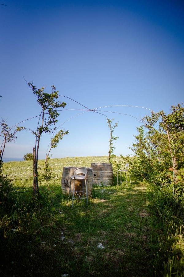 Agriturismo Conero أنكونا المظهر الخارجي الصورة